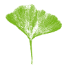 Koeber Landschaftsarchitektur GmbH