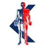 Körperwerkstatt – Physiotherapie und Osteopathie