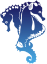 Koh Kood Divers