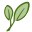 Kollman's Greenhouse