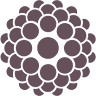 Three Flowers