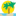Kona travel