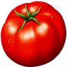 Kootenai County Farmers' Market