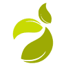 Koppara