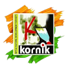 Kornik