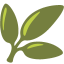 magical herbs