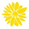 Südtiroler Kräutergold