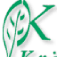 Kräuterhexe