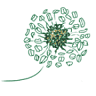 Schaugarten - Kräuterladen - Kräuterlehrgänge- und Workshops