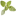 Luplower Kräutersalat