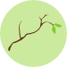 Kreativholz GmbH