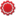 KRIZANTEMA NOVA