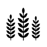 Krozzon