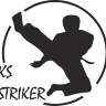 Klub Sportowy Striker -Taekwondo- zajęcia dla dzieci szkolnych-treningi dla przedszkolaķów