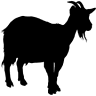 Kürbisausstellung Ludwigsburg