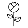 Kukkaniitty