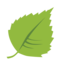 Kultatukku Kuopio, Apaja