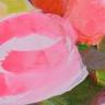 KUNST und WIRKUNG | Galerie und Kunstberatung | Stefanie Quistorf
