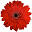 Batex. PW. Wholesale