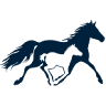 Kentucky Horse Park