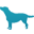 Przychodnia Weterynaryjna 