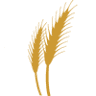 Labette Insurance