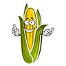 Corn Field Maze