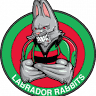 Labrador Rabbits Oztag Club