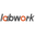 LABWORK AUTO INC