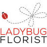 Ladybug Florist In the Village