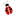 Ladybug's Flowers & Gifts
