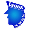 LAESS Seguridad