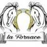 The Equestrian Center Furnace
