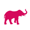 La Galeria Elefante Ibiza