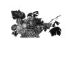 Ristorante Antica Trattoria La Grotta dal 1918