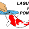 Laguna Koi Ponds