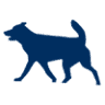 Lahontan Valley Vet Clinic Inc