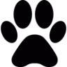 Lake Country Veterinary Care