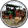 Lake Goldsmith Steam & Vintage Rally