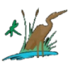 Lakeland Biologists - Pond, Lake and Water Garden Service and Products