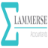 Lammerse Accountants B.V.