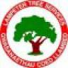 Lampeter Tree Services