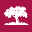 Lamrocks Solicitors