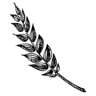 Wittig Landbäckerei GmbH