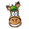 Mini pony Wild - Farm Holidays