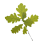 Jägersruh