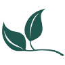 Landmark Gardens & Nursery
