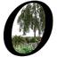 Landscape Oasis LLC