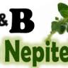 La Nepitella (room)