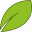 La Panacea